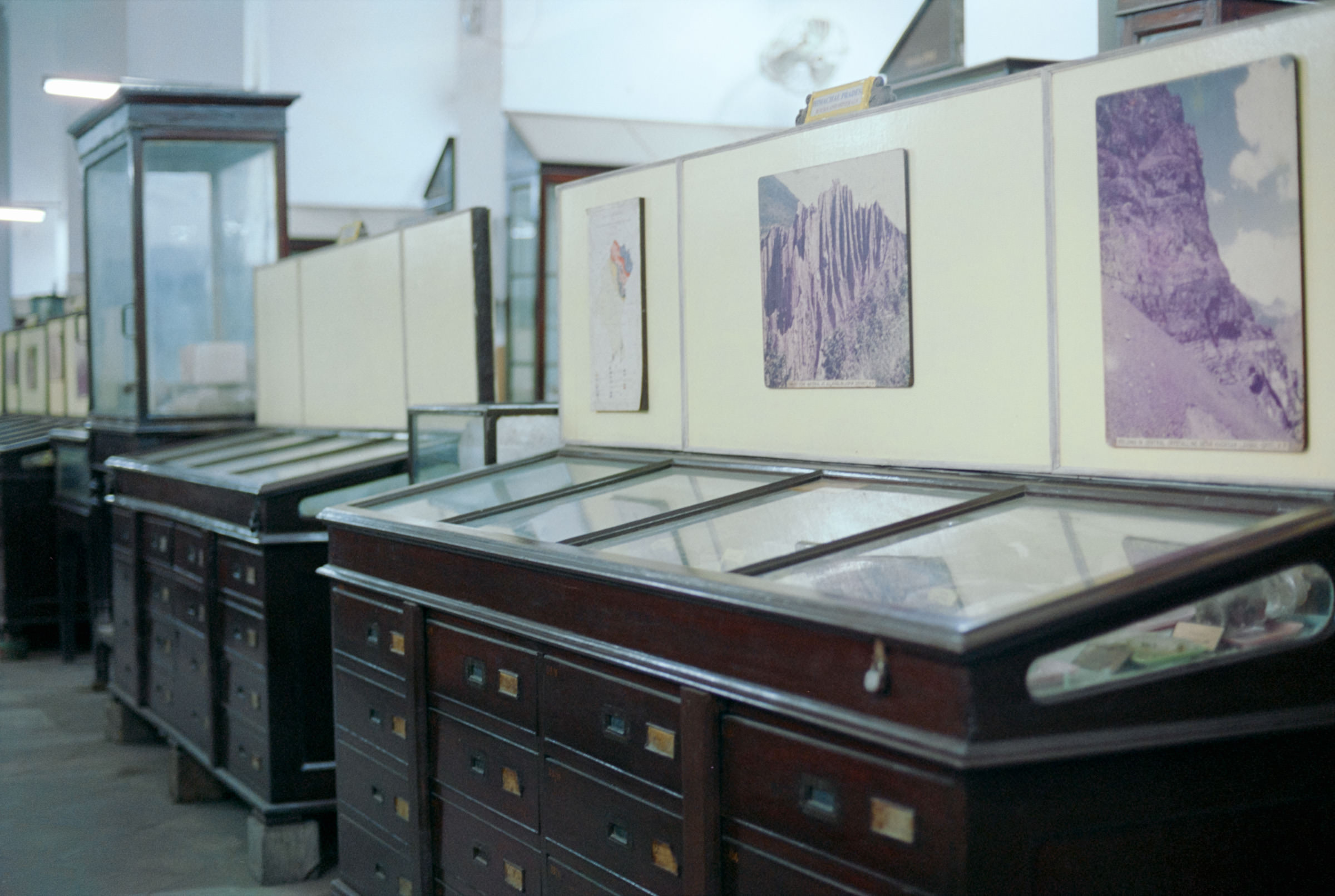 AHP film 2005 01 002 sc240825 img17 NLP